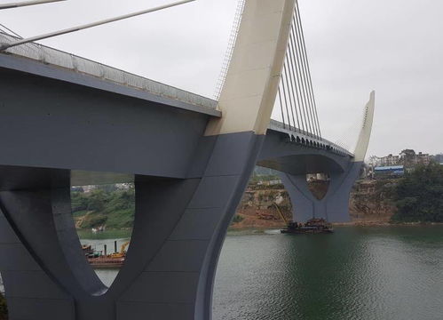 崇左大橋及引道工程喜獲“真武閣杯”獎(jiǎng)，裝飾工程品質(zhì)獲權(quán)威認(rèn)可